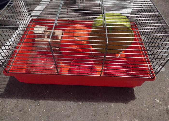 Grajewo ogłoszenia: Sprzedam dwie klatki widoczne na zdjęciach  dorzucam akcesoria...